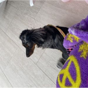 Meet your Posher, Laudelina